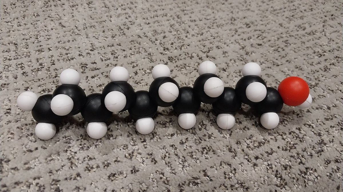 A physical ball-and-stick molecular model with carbon atoms in black, hydrogen in white and an oxygen in red — representing the peptide and small-molecule chemistry behind amylin and PYY satiety-hormone analogues, a Panacea Bio Chem reference by Bogdan Dicoias